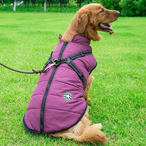 SnubPaws™ 3 in 1 Jacket