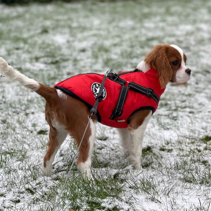 SnubPaws™ 3 in 1 Jacket